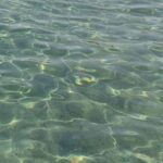 1 thessaloniki halkidiki beach hopping with swimming Thessaloniki: Halkidiki Beach-Hopping With Swimming