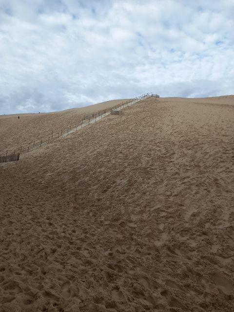 Dune Du Pilat and Oysters Tasting ! What Else ? - Oysters Tasting Options Available