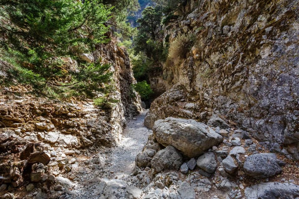 From Georgioupoli: Easy Hiking Day-Trip to Imbros Gorge - Inclusions in the Tour Package