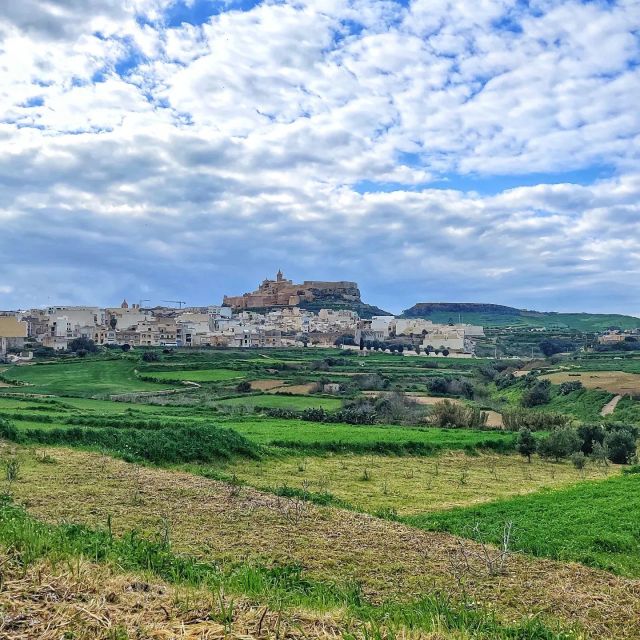 Gozo Wine and Food Tasting - Instructor Information