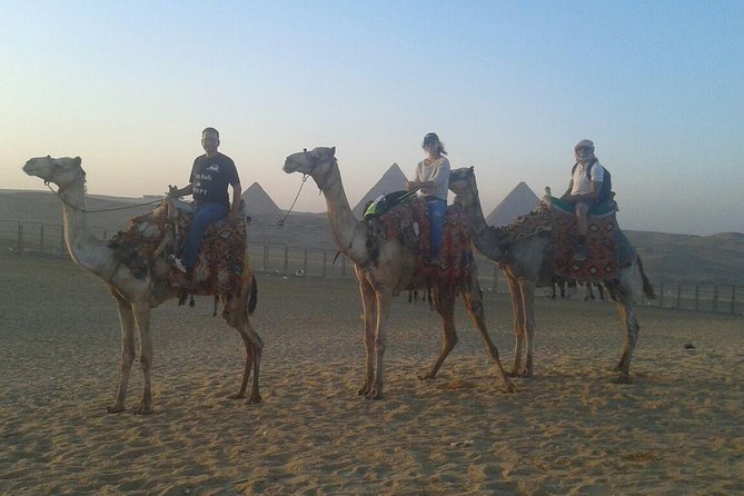 Half Day Tour Around Giza Pyramids By Camel - Camel Ride Experience