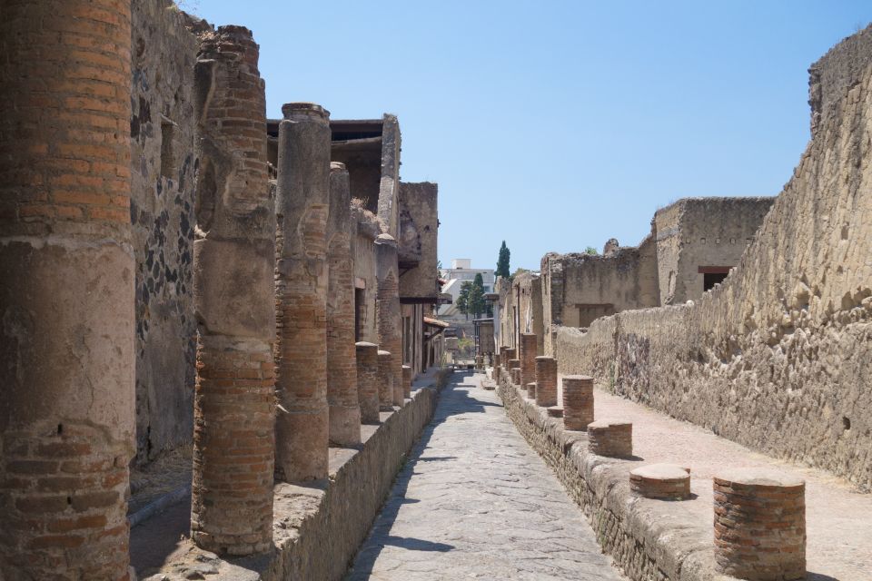 Herculaneum 2-Hour Private Guided Tour - Language Options & Inclusions