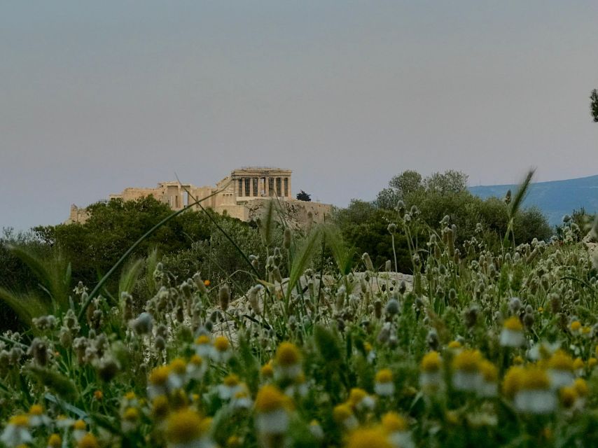 Incredible Athens Walk With Hidden Gems - Highlights