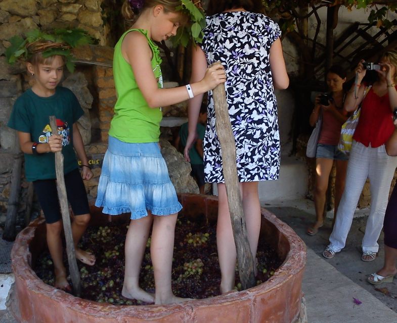 Lychnostatis Open Air Museum: Grape Harvest Festival Every Wednesday - Pricing and Reservations