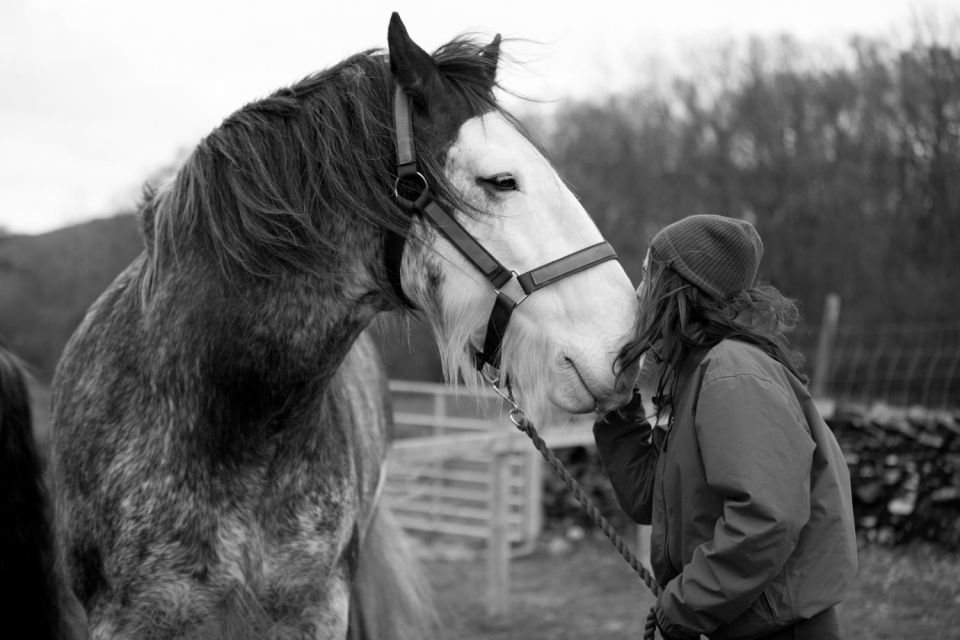 Meditate With Horses Full Circle Experiences - Inclusions