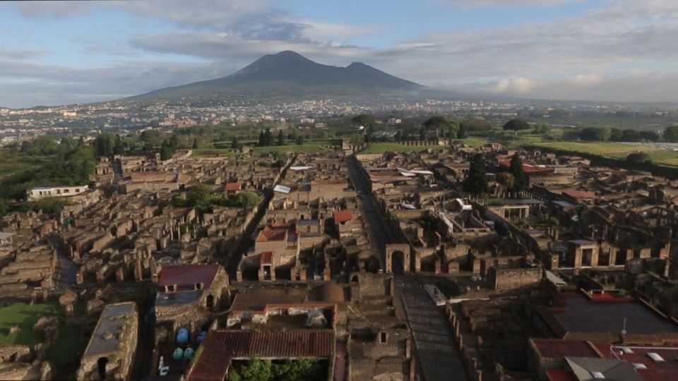 Naples: Pompeii & Herculaneum With Tickets and Wine Tasting - Inclusions