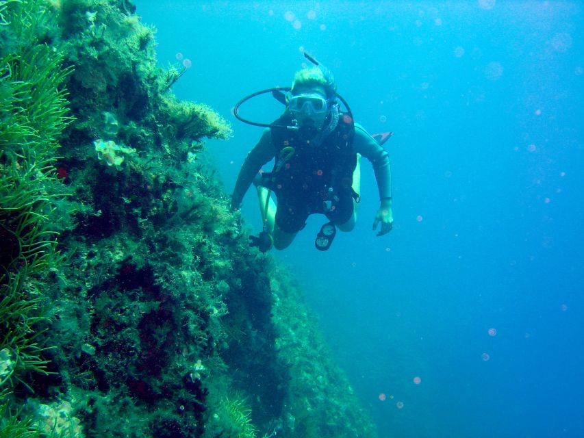 Rhodes: Diving Adventure for Beginners and Experts - Activity Description