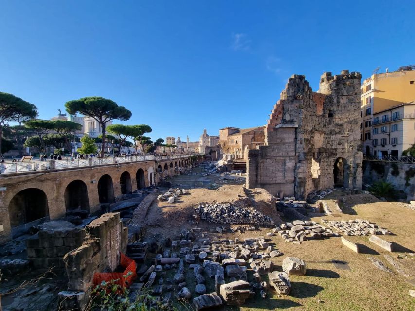 Rome: Colosseum, Palatine Hill and Roman Forum Private Tour - Activity Description