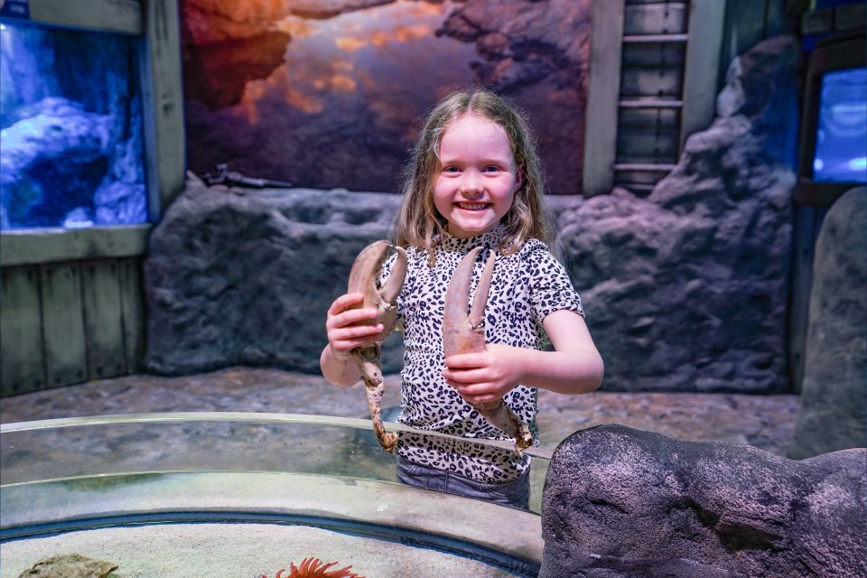 SEA LIFE Great Yarmouth - Experience Highlights