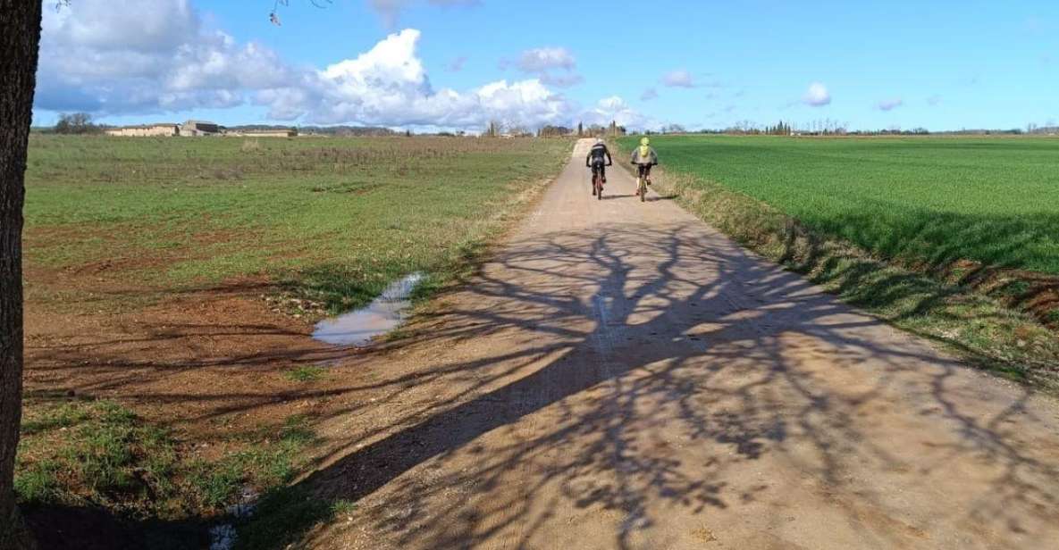 Siena: E-Bike Tour on the via Francigena With Brunch - Highlights