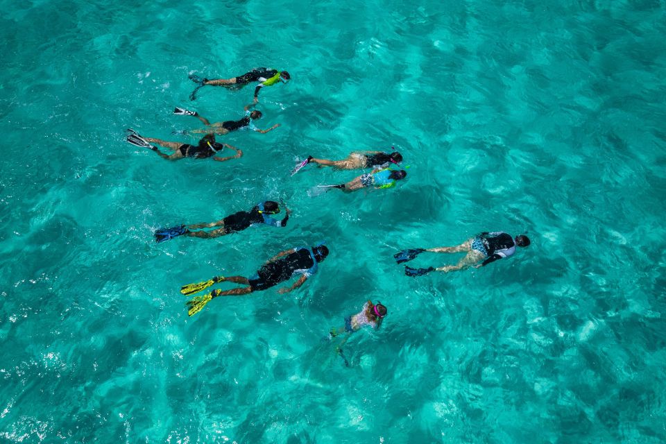 Snorkeling Trips in Amorgos - Booking Process