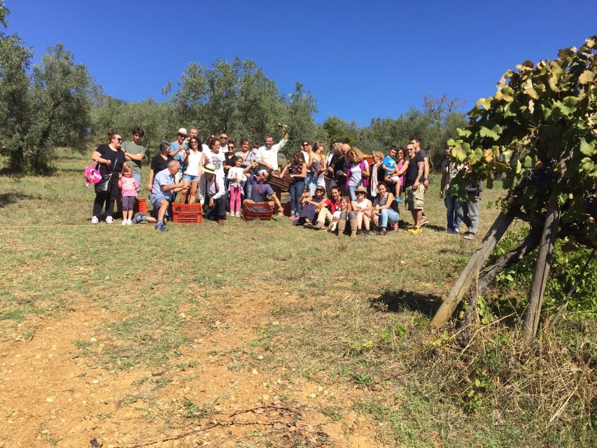 Chianti Natural Wine Tour With Tuscan Lunch - Inclusions