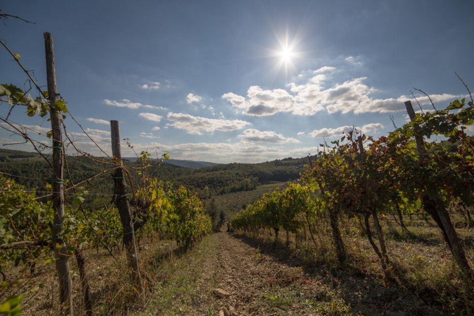 From Florence: Chianti Wine Tastings at Sunset Day Trip - Cancellation Policy