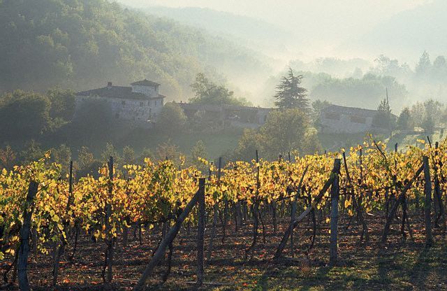 From Florence: Chianti Wine Tour With Driver-Guide - Language Options