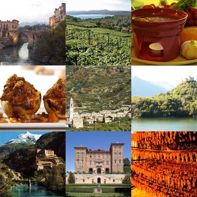 From Turin: Food and Wine Guided Tour in Canavese - Tour Description