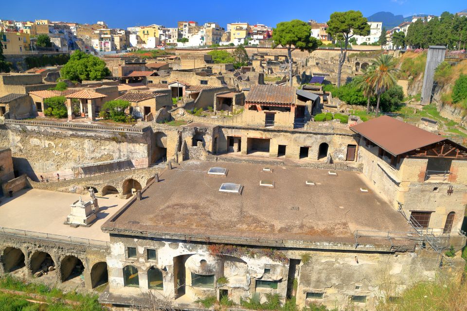 Herculaneum 2-Hour Private Guided Tour - Features & Cancellation Policy