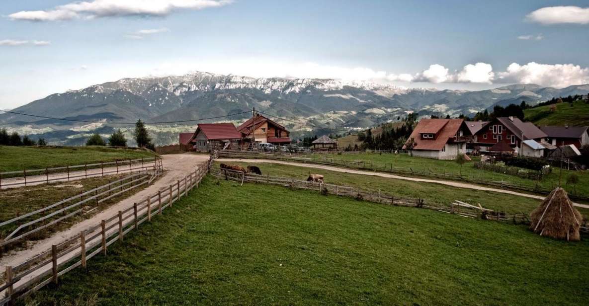 Local Experience in Brasov and Its Surroundings - Transylvanian Village Exploration