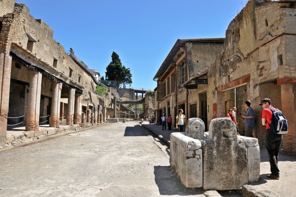 Naples: Pompeii and Herculaneum Private Walking Tour - Highlights