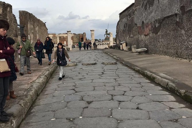 Pompeii Sorrento and Wine Tasting Tour From Naples - Inclusions and Exclusions
