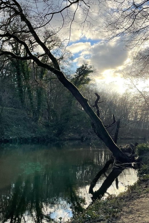 Saltaire: Half-Day Guided Walking Tour - Experience