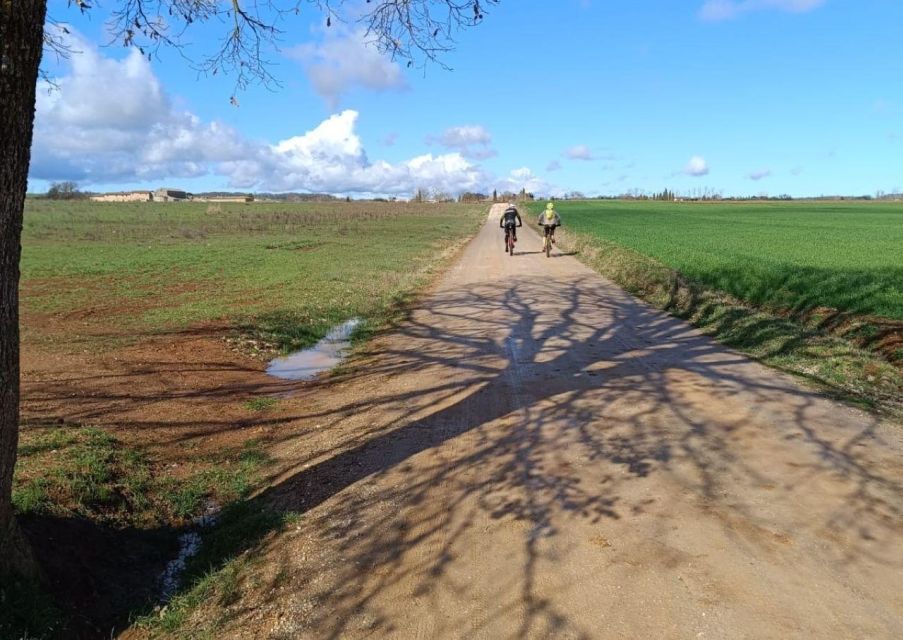 Siena: E-Bike Tour on the via Francigena With Brunch - Itinerary