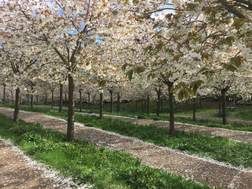 The Alnwick Garden: Entry Ticket - Experience Highlights at The Alnwick Garden