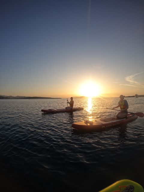 Chania: Stand-up Paddleboard Coastal Sunset Experience - Pricing