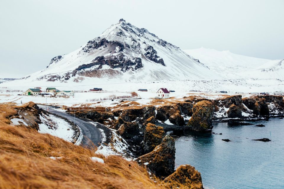 From Reykjavik: Snæfellsnes Full-Day Tour With Homemade Meal - Customer Feedback