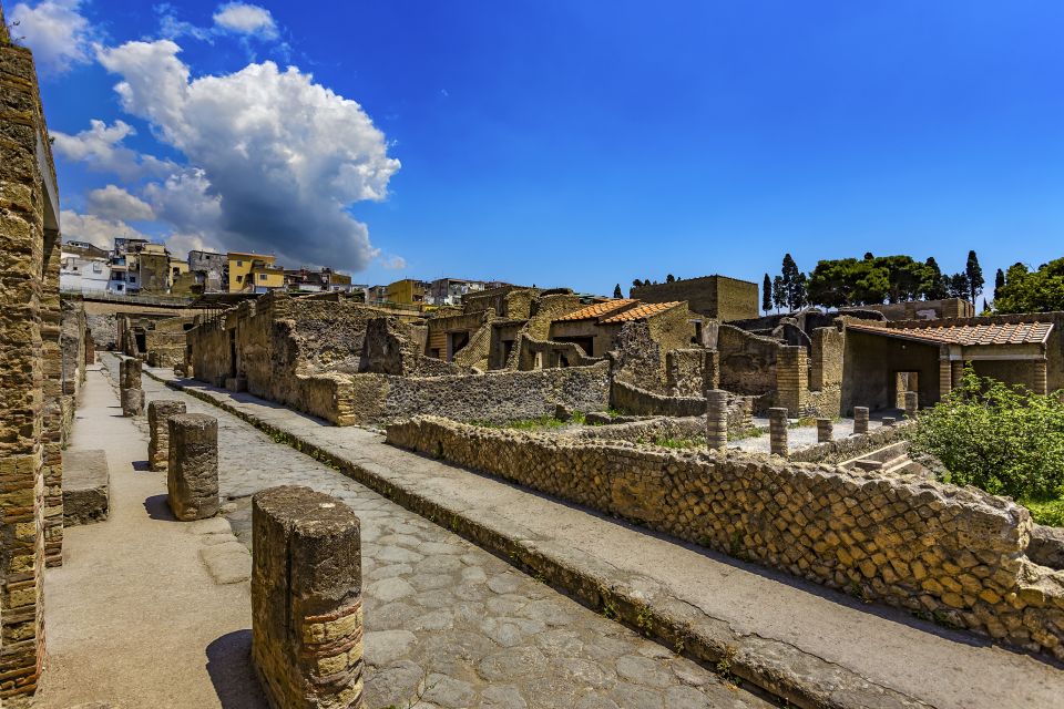 Herculaneum 2-Hour Private Guided Tour - Tour Experience & Restrictions