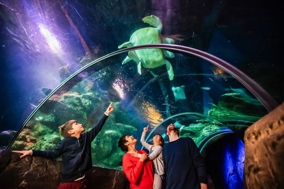 London: SEA LIFE Entry Ticket - Inclusions and Entry Details