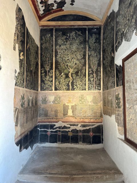Private Guided Tour to Pompeii Excavations - Important Information