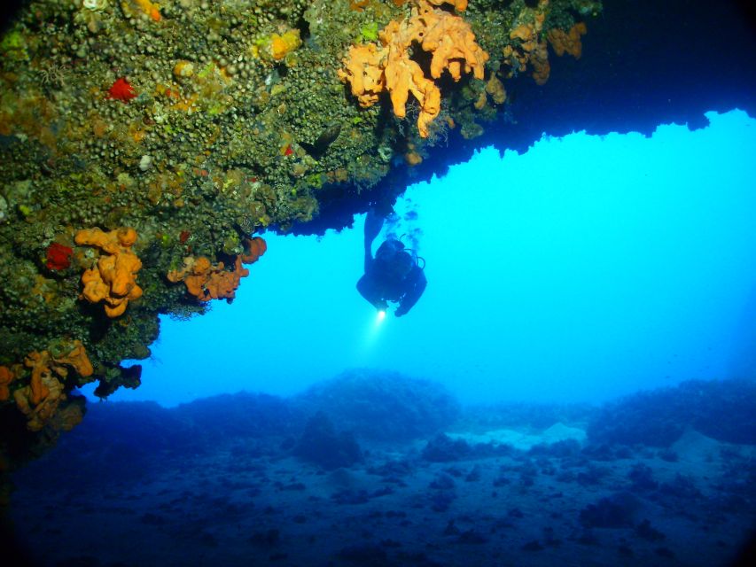 Rhodes: Diving Adventure for Beginners and Experts - Extra Information