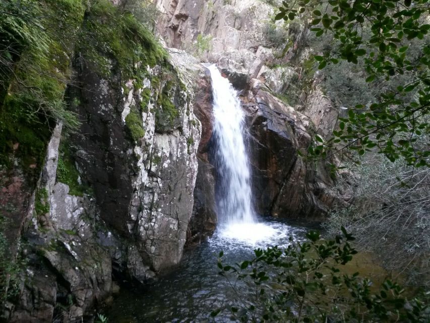 Cagliari: Canyoning in Sardinia - Important Information