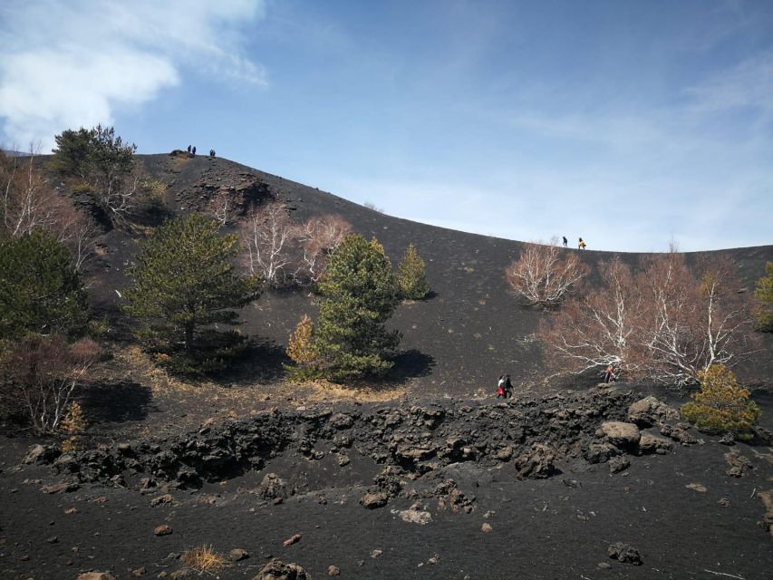 Guided Trekking on Etna Volcano With Transfer From Syracuse - Inclusions