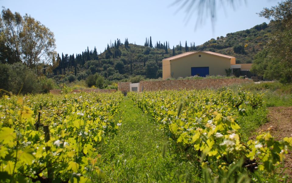 Kefalonia: Greek Wine Tasting at Sclavos Winery Near Lixouri - Booking Details and Price Information