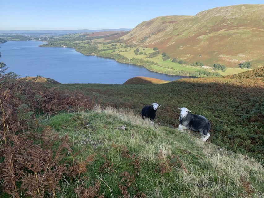 Lake District: Digital Self Guided Walk With Maps & Discount - Common questions