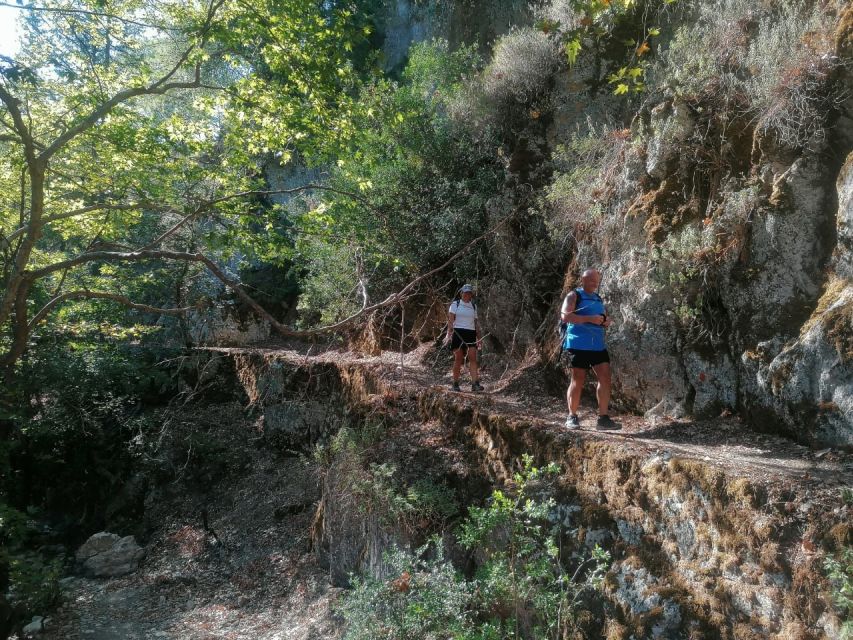 Rhodes: Guided Hike to 7 Springs From Archangelos - Customer Reviews