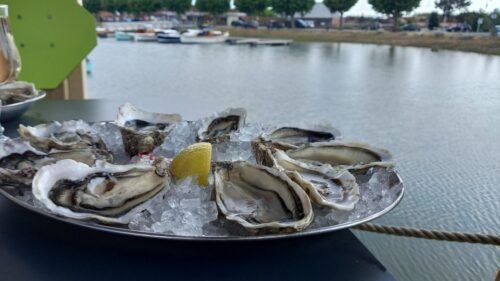 Dune Du Pilat and Oysters Tasting ! What Else ? - Last Words