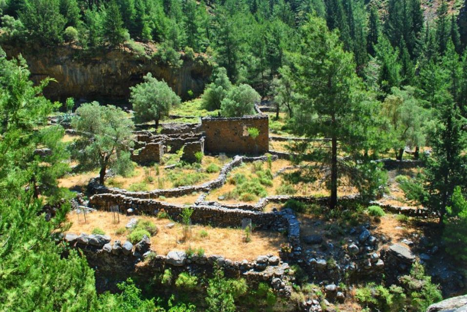 From Heraklion: Samaria Gorge & Agia Roumeli Hiking Day Trip - Customer Reviews