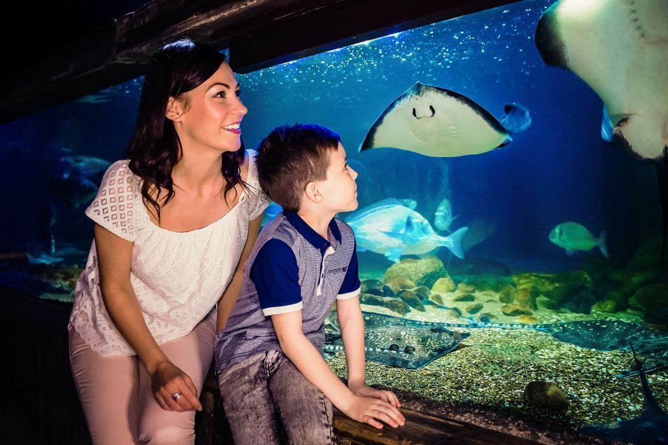 London: SEA LIFE Entry Ticket - Common questions