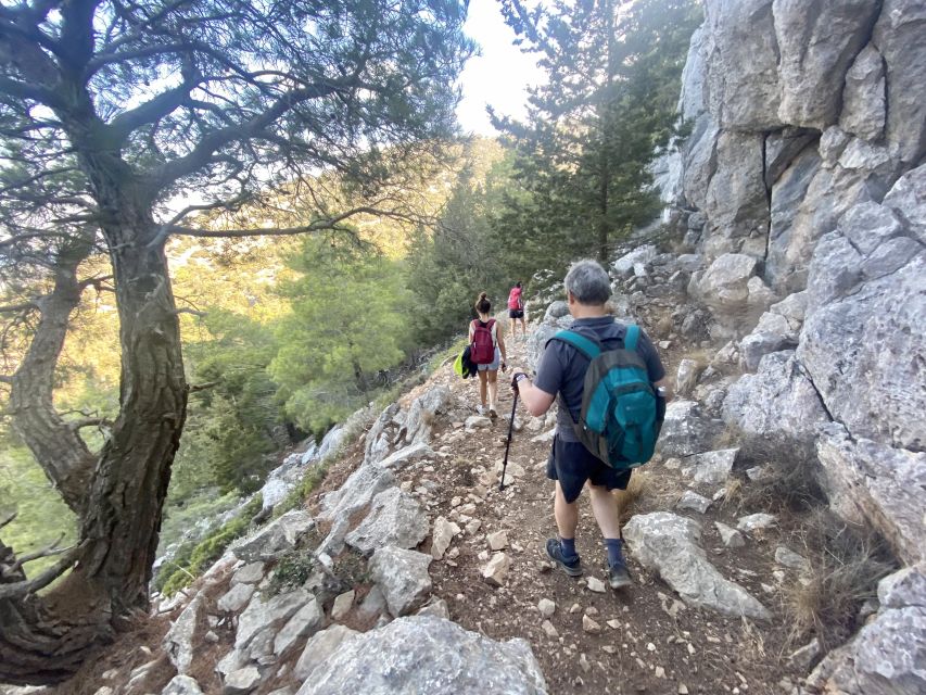 Rhodes: Akramitis Mountain Guided Hike - Customer Reviews and Ratings