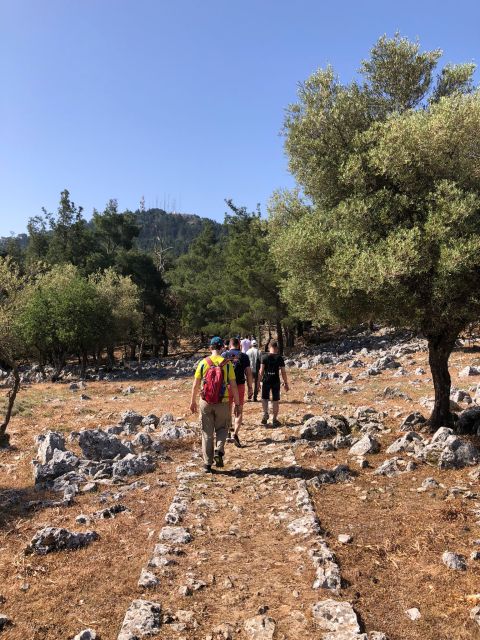 Rhodes: Salakos to Profitis Ilias 4 Hours Guided Hike - Recommendations