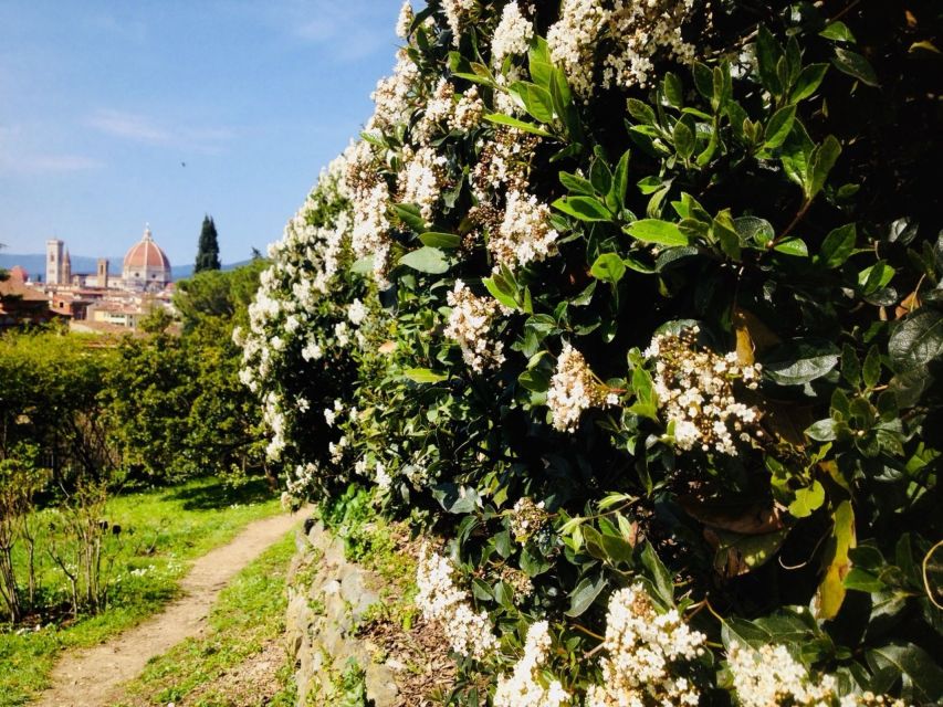 Duomo Complex & Florence Walking Tour W/Cupola Entry Tickets - Tour Directions and Meeting Points