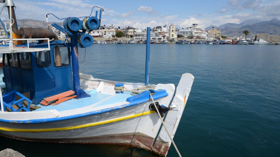 Heraklion: Chrissi Island and Ierapetra Cruise With Lunch - Traveler Types