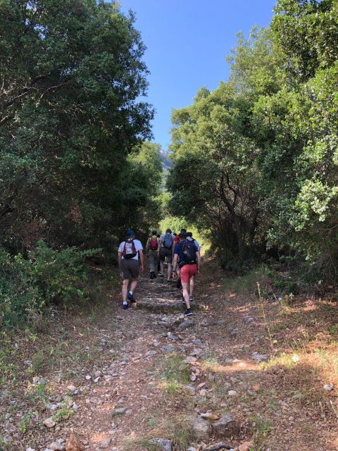 Rhodes: Salakos to Profitis Ilias 4 Hours Guided Hike - Last Words