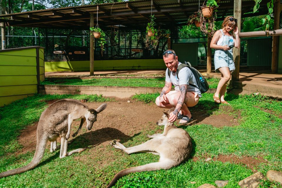 Cairns: Best of the Kuranda Rainforest Full-Day Tour & Lunch - Visitor Notes