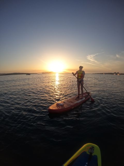 Chania: Stand-up Paddleboard Coastal Sunset Experience - Customer Reviews