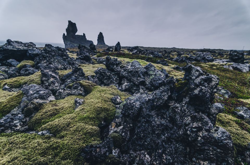 From Reykjavik: Snæfellsnes Full-Day Tour With Homemade Meal - Review Summary