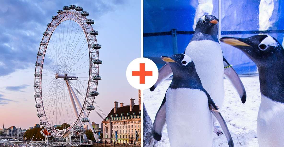 London: SEA LIFE & London Eye Combo Ticket - Common questions