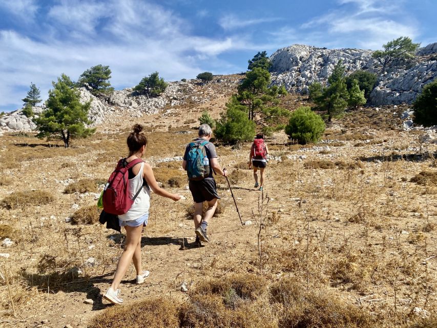 Rhodes: Akramitis Mountain Guided Hike - Last Words